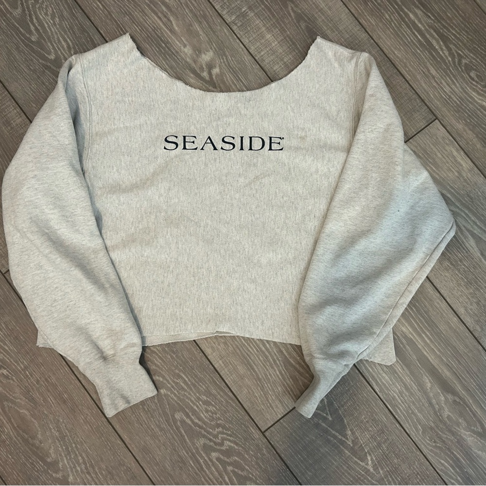 Champion Gray Sweatshirt